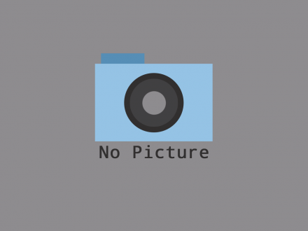 No pic
