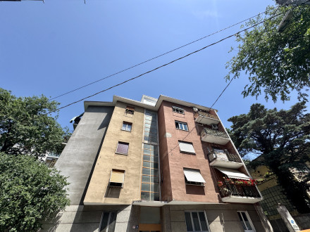 Zona giorno più due stanze in 8258